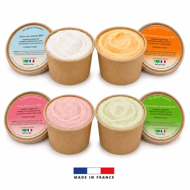 Glaces pour chien